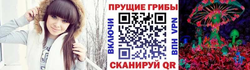 Псилоцибиновые грибы прущие грибы  Купить где  Горячий Ключ 